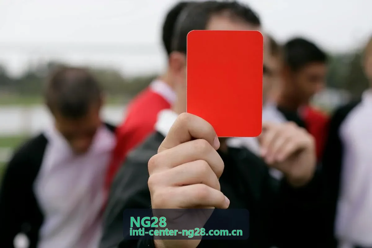 NG28数据榜单栏目配图